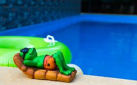 Lazy Frog Guest House